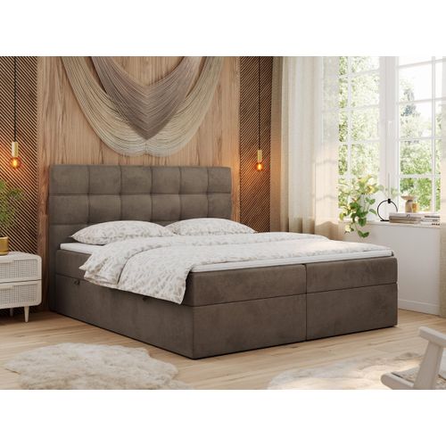 MKS MEBLE Boxspringbett 120x200 mit Matratze, Bett mit Multipocket - Matratze H3 und Topper, Polsterbett 120x200 mit Bettkasten und Kopfteil, ERNI - Braun Velvet