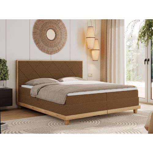 MKS MEBLE Boxspringbett 140x200 Eiche Braun Boucle, Polsterbett 140x200 mit Massivholz Eiche, Bett mit Stauraum und 7-Zonen Taschenfederkern Mattratze H3 - Caicos