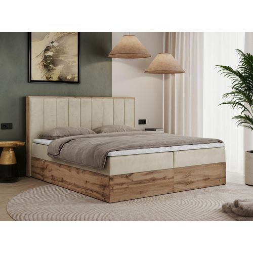 MKS MEBLE Boxspringbett 140x200 mit Bettkasten Eiche, Polsterbett 140x200 mit Matratze H4, Bett 140x200 mit Kopfteil, Bett mit Holzrahmen in Wotan Eiche - Beige Velvet - Bellissimo