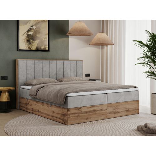 MKS MEBLE Boxspringbett 140x200 mit Bettkasten Eiche, Polsterbett 140x200 mit Matratze H4, Bett 140x200 mit Kopfteil, Bett mit Holzrahmen in Wotan Eiche - Hellgrau Velvet - Bellissimo