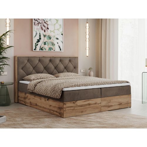 MKS MEBLE Boxspringbett 140x200 mit Bettkasten Eiche, Polsterbett 140x200 mit Matratze H3, Bett 140x200 mit Kopfteil, Bett mit Holzrahmen in Wotan Eiche - Braun Velvet - Veneto