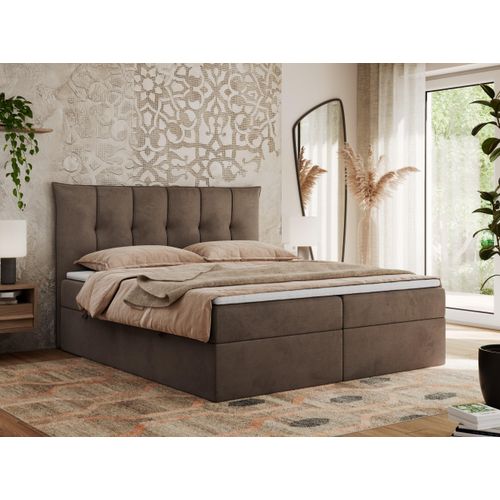 MKS MEBLE Boxspringbett 120 x 200 cm mit Bettkasten und Matratze H4, Polsterbett 120 x 200 cm mit Bettkasten, Bett 120 x 200 cm mit Stauraum und Topper - Premium-10 - Braun Velvet