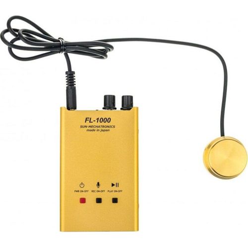 Audioüberwachung durch die Wand FL-1000