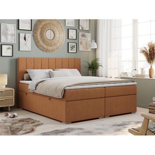 Boxspringbett mit 2 Bettkästen, Matratze und Topper, Polsterbett - ALLY - 200x200cm - Orange - H4 Image