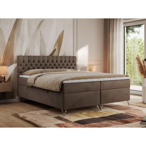 MKS MEBLE Boxspringbett 120x200, Bett 120x200 mit Matratze H4, Boxspringbett 120x200 mit Bettkasten und Topper, Polsterbett 120x200 Füße - GRIMALDI - 120x200 - Braun Velvet - H4