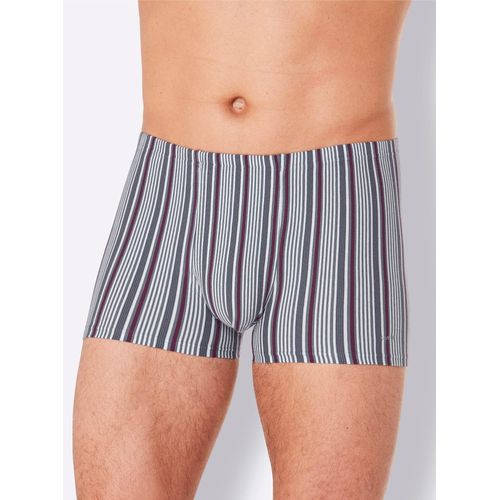 Slip COMTE, Herren, Gr. 7, bunt (grau, bordeaux, gestreift), 95% Baumwolle, 5% Elasthan, Unterhosen