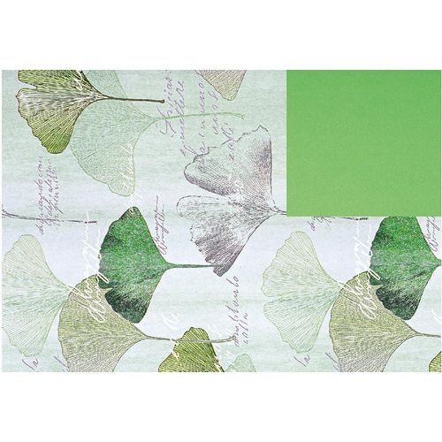 R-Papier Ginkgo 50cmx200m
