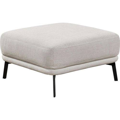 Hocker 