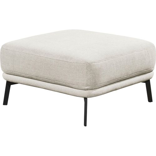 Hocker 