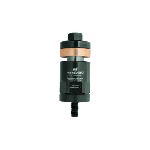 TSCHORN Spannbolzen 100mm Bolzen M10 (003000100)