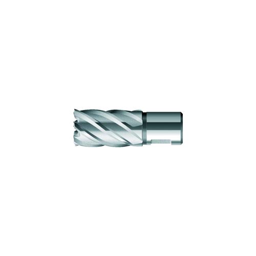 BDS Kernbohrer kurz KBK HSS Schaft Weldon 18/30mm (KBK018)