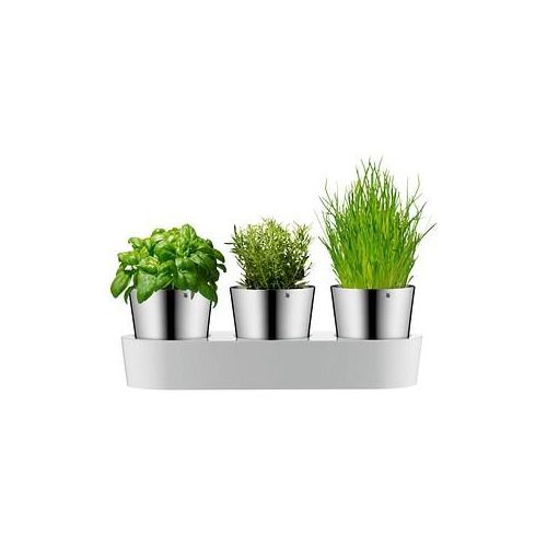 WMF Kräutertopf-Set Gourmet silber, 3 St.
