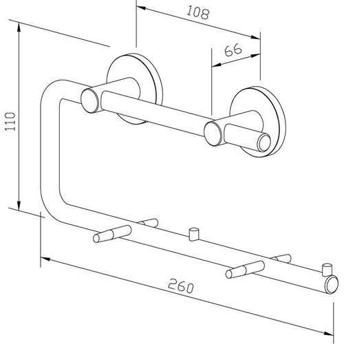Wagner-EWAR Doppel-Toilettenpapierhalter AC252 Edelstahl, Variante:Edelstahl poliert