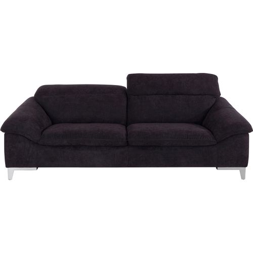 2,5-Sitzer COTTA 