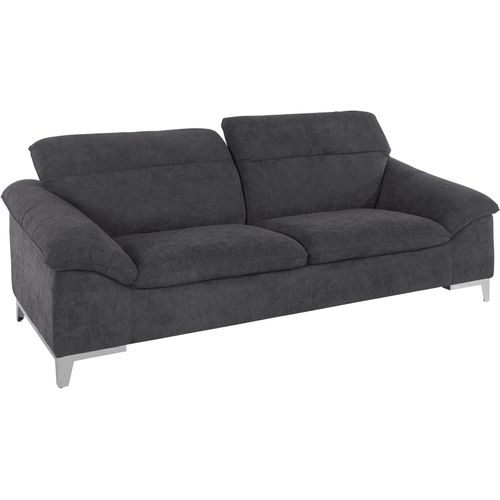 2,5-Sitzer COTTA 