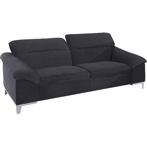 2,5-Sitzer COTTA 