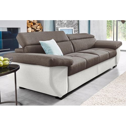 2,5-Sitzer COTTA 