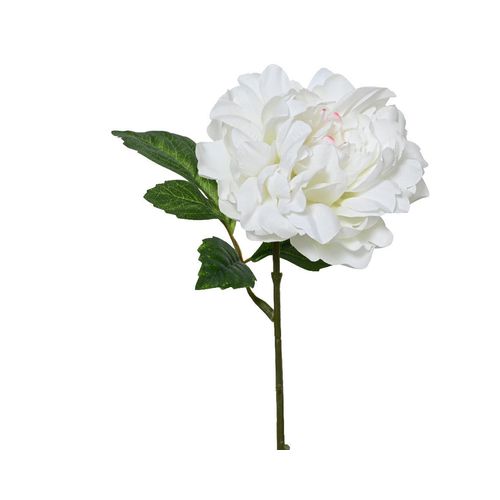 Kunstblume PFINGSTROSE