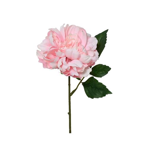 Kunstblume PFINGSTROSE