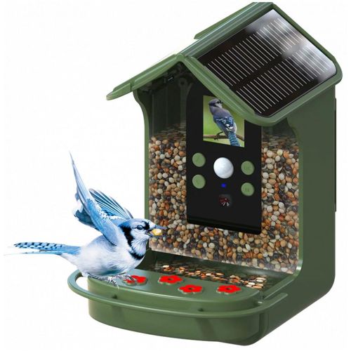 Braun Bird Cam 130 Solar Wildkamera