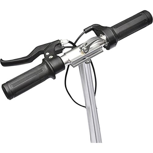 vidaXL E-Scooter 120 W Schwarz
