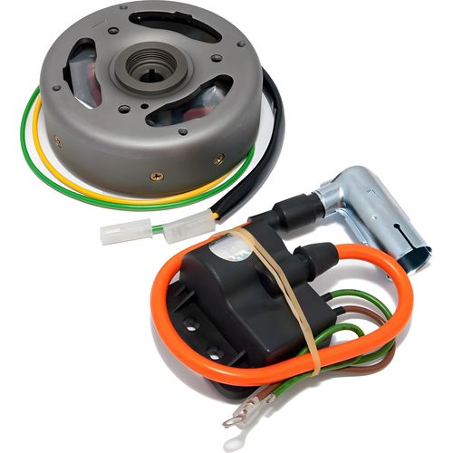 Lichtmaschine / Zündung komplett inkl. Polrad für Puch Maxi (Bosch Modell)