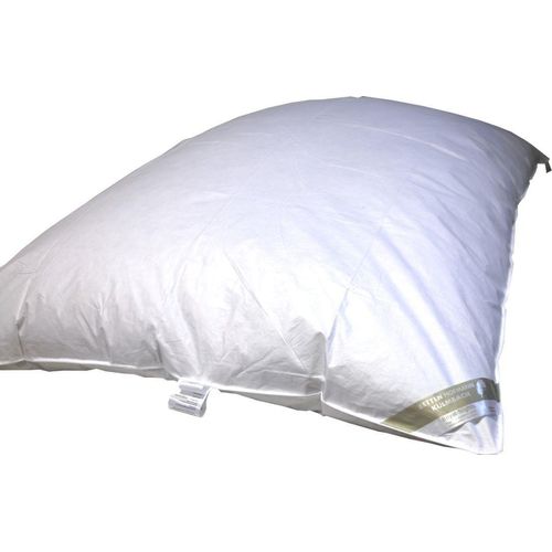 Winter Oberbett Daunenbett Ballonbett 155x200cm 1800g 100% neue Daunen superwarm