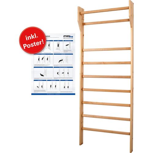 Sprossenwand Kletterwand Turnwand Klettergerüst Gymnasik Fitness Schule 80x210cm