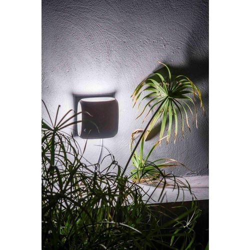 Faro Led Wandleuchte Bu Oh 12 W 310lm Warmweiß Ip65 Grau Wandlampe Lampe Leuchte