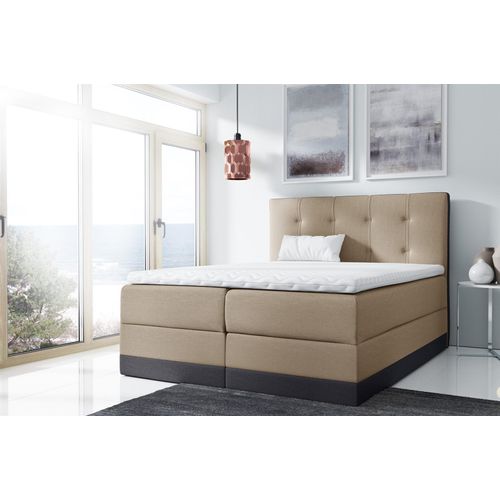 Boxspringbett Schlafzimmerbett BALEA 140x200cm Cappuccino-Grau