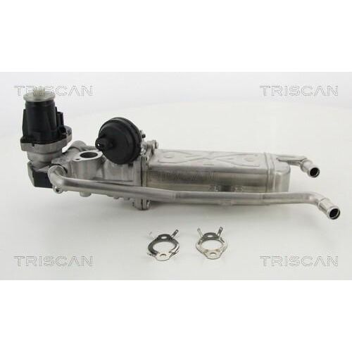 TRISCAN 8813 29325 Agr-Ventile