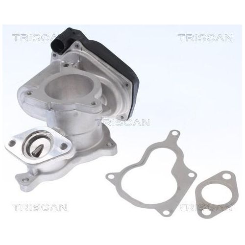 TRISCAN 8813 29019 Agr-Ventile