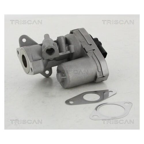 TRISCAN 8813 10002 Agr-Ventile