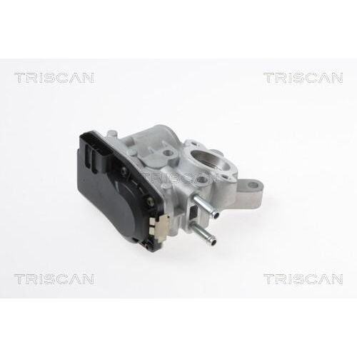 TRISCAN 8813 14100 Agr-Ventile