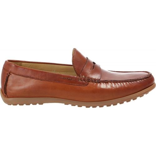 FRETZ MEN 21109872/37 cognac Slipper FS 2020, Spocc:43
