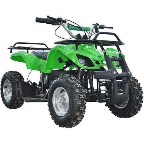 Pocketquad Miniquad Quad Kinderquad Quad Pocketbike 800w Grün RV- Racing