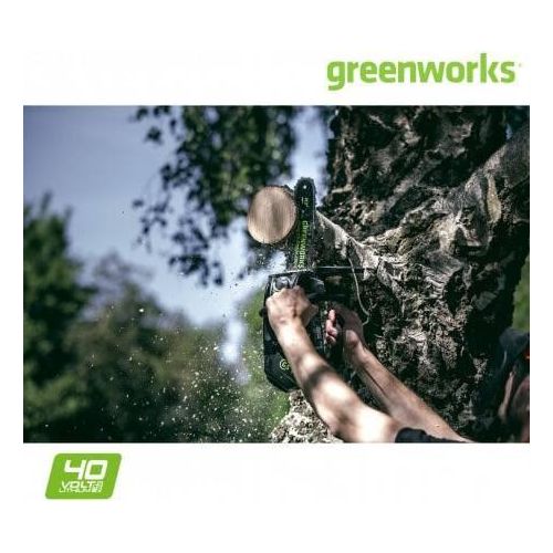 Greenworks GD40TCS Schwarz, Grün