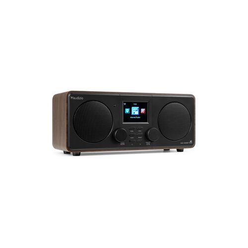 AUDIZIO Digitalradio (DAB+) »Foza«, (Digitalradio (DAB+)-Internetradio)