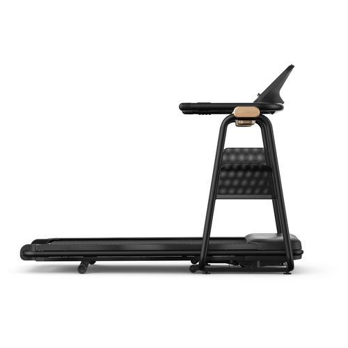 Laufband HORIZON FITNESS 