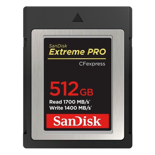 SANDISK Speicherkarte 
