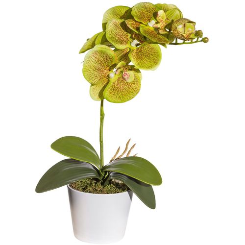 Kunstpflanze GASPER, grün, B:15cm H:40cm T:15cm, Keramik, Kunststoff, Kunstpflanzen