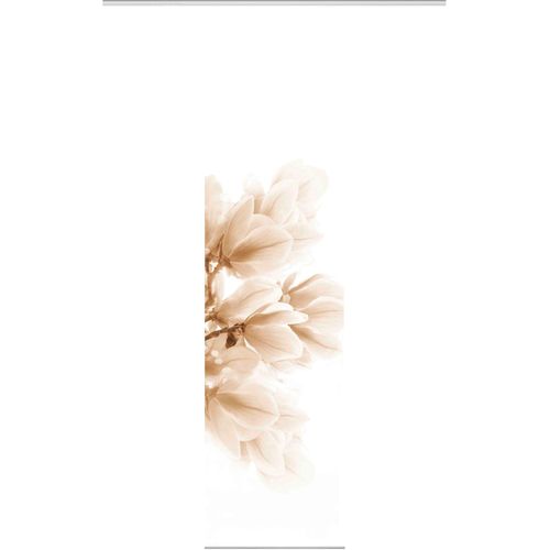 Schiebegardine HEINE HOME, beige (sand, weiß), B:60cm H:245cm, Polyester, Gardinen