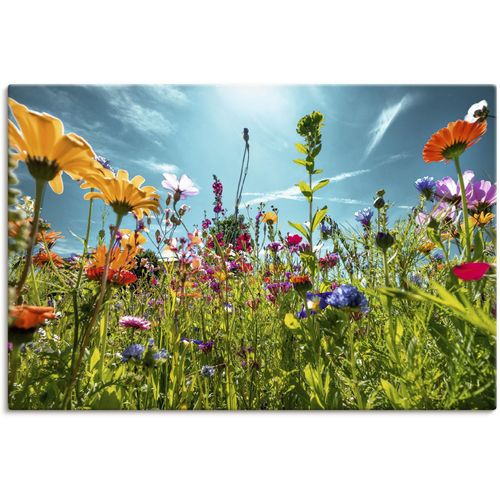 Wandbild ARTLAND 