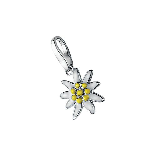 Charm Blume 