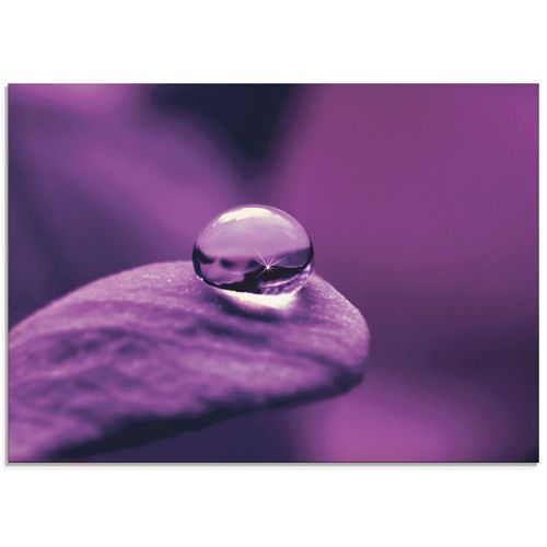 Glasbild ARTLAND 