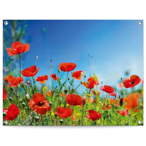 Poster REINDERS 