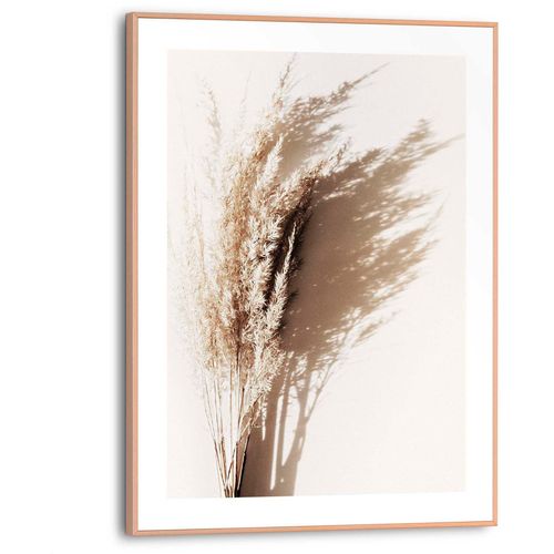 Poster REINDERS "Sonniges Gras", beige (farbe bild(er): beige), B:30cm H:40cm T:1,6cm, MDF, Bilder, Poster