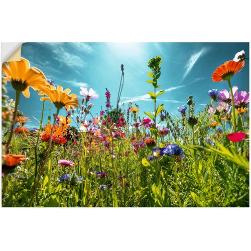 Wandbild ARTLAND 