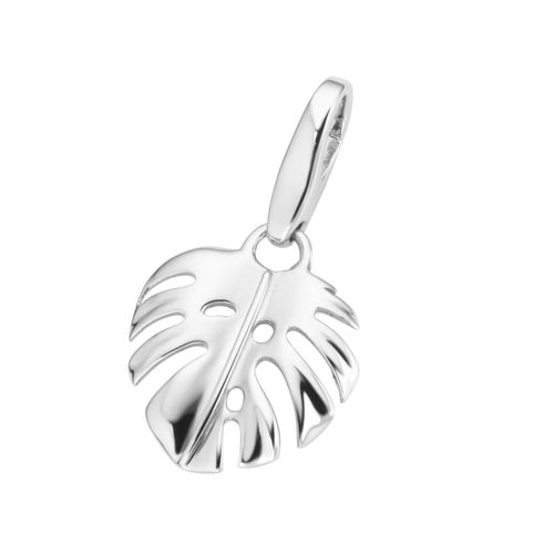 Charm Blume 