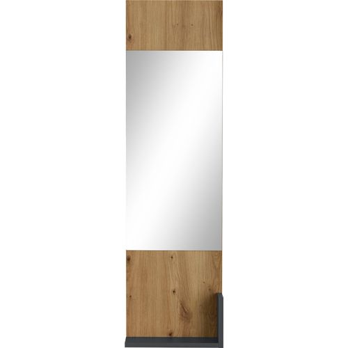 Spiegelpaneel INOSIGN 